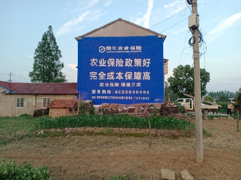 肥西墙体广告的优劣势你知道吗？