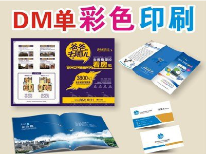 肥西单页印刷,色彩搭配简单。